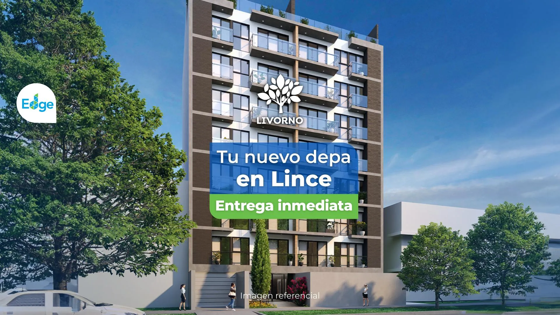 Proyecto LIVORNO en Lince