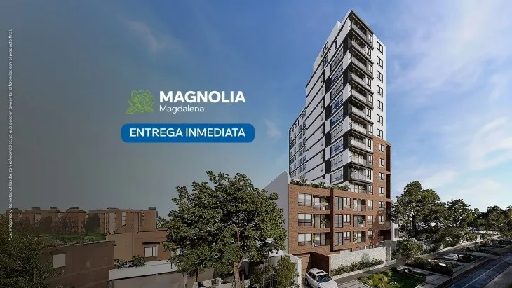 Magnolia