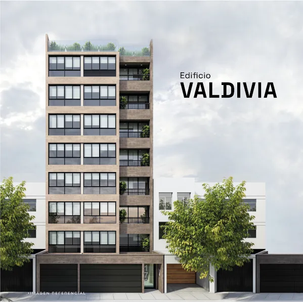 Proyecto Valdivia en San Miguel
